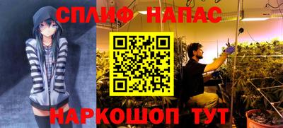 тгк Магадан